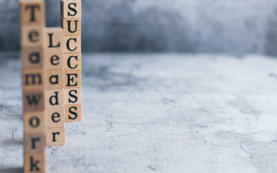 Deine Expertise plus MINDtoring = Dein Erfolg und Dein Freiraum! Seminar am 21.11.2020