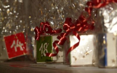 MINDtoring®️ Adventskalender: 24 Tage für mehr Erfolg und Freiraum!